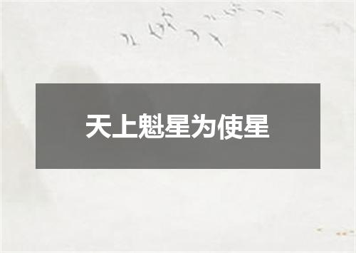 天上魁星为使星