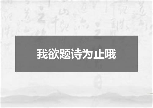 我欲题诗为止哦