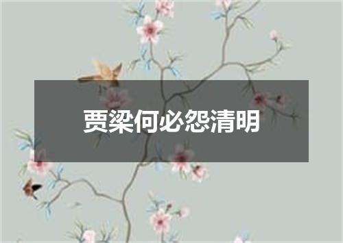 贾梁何必怨清明