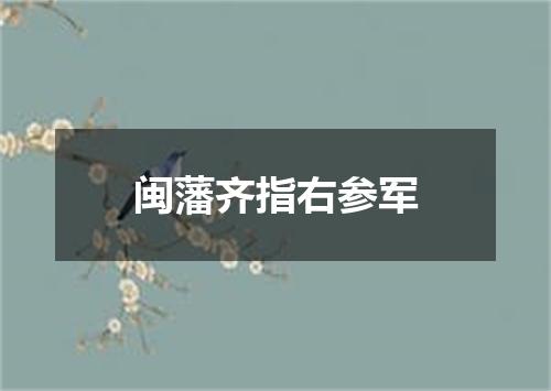 闽藩齐指右参军