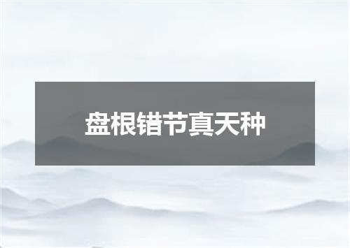 盘根错节真天种