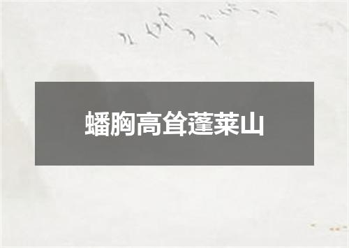 蟠胸高耸蓬莱山