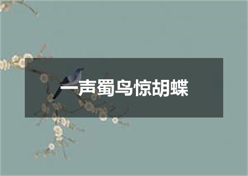 一声蜀鸟惊胡蝶