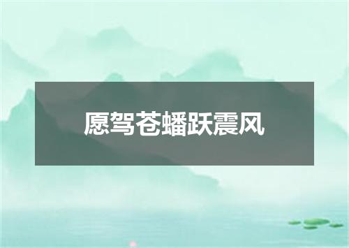 愿驾苍蟠跃震风