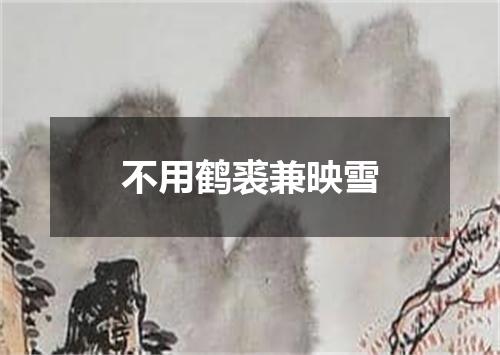 不用鹤裘兼映雪