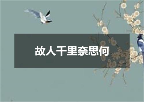 故人千里奈思何