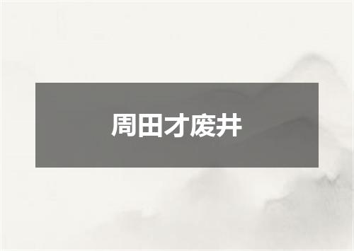 周田才废井