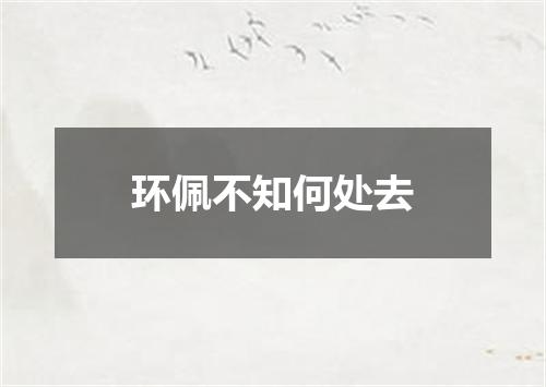 环佩不知何处去