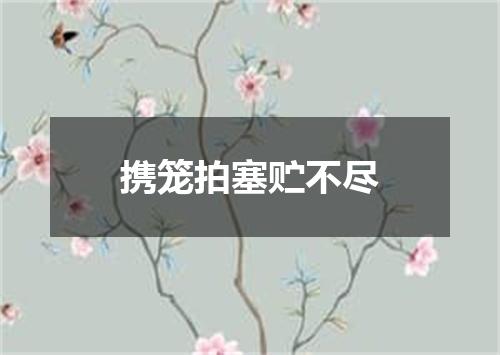 携笼拍塞贮不尽