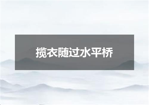 揽衣随过水平桥