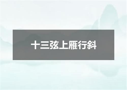 十三弦上雁行斜