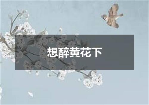 想醉黄花下