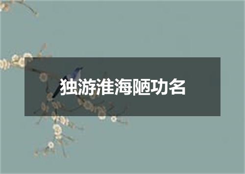 独游淮海陋功名