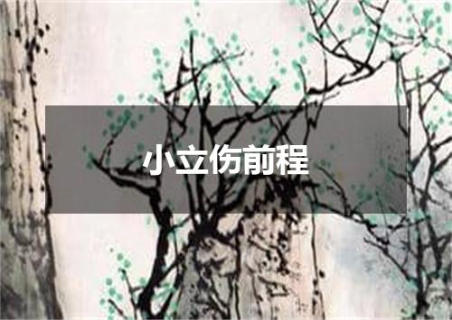 小立伤前程