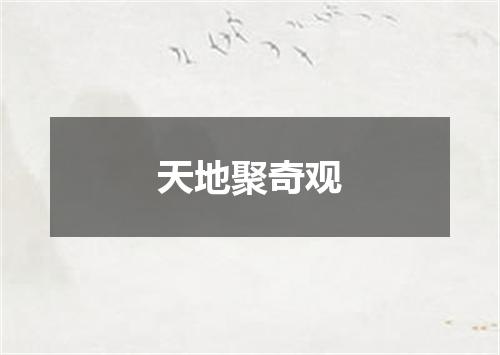 天地聚奇观