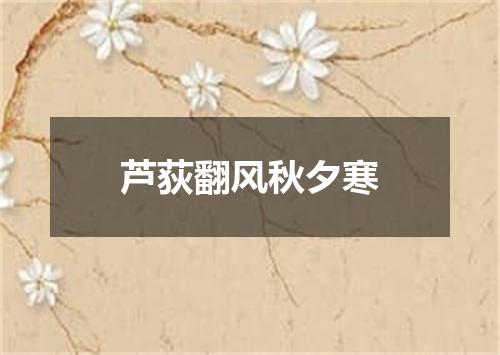 芦荻翻风秋夕寒