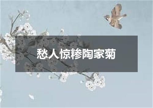 愁人惊糁陶家菊
