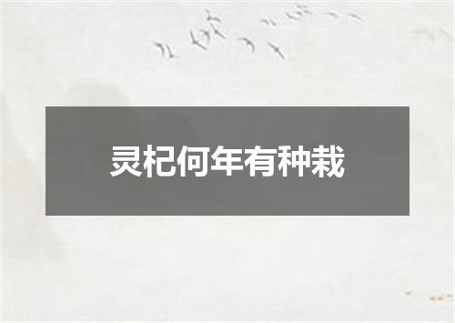 灵杞何年有种栽