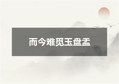 而今难觅玉盘盂