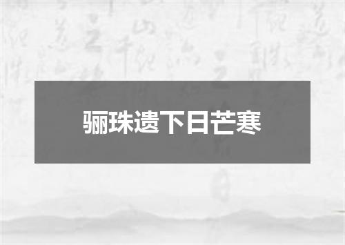骊珠遗下日芒寒