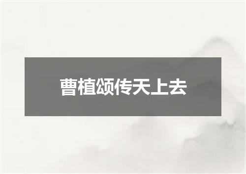 曹植颂传天上去