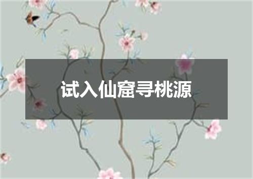 试入仙窟寻桃源
