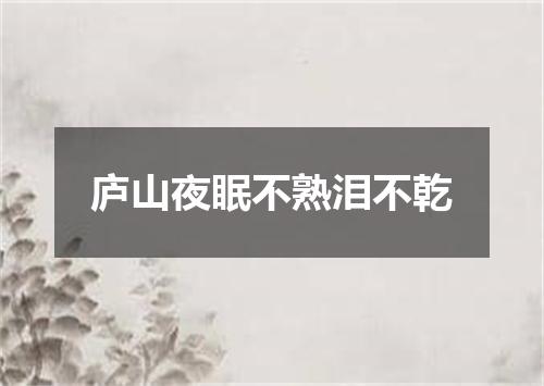庐山夜眠不熟泪不乾