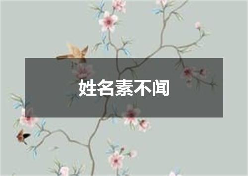 姓名素不闻