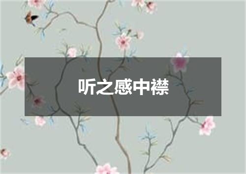 听之感中襟