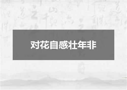 对花自感壮年非