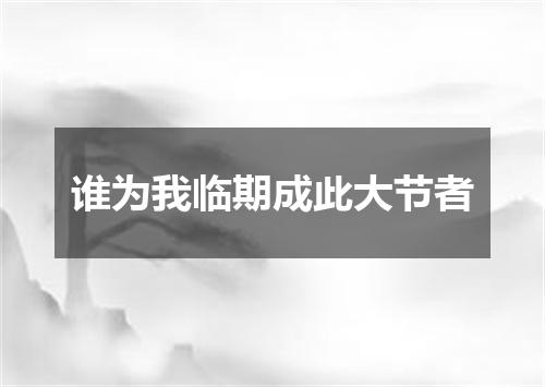 谁为我临期成此大节者
