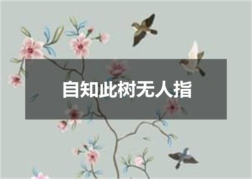 自知此树无人指