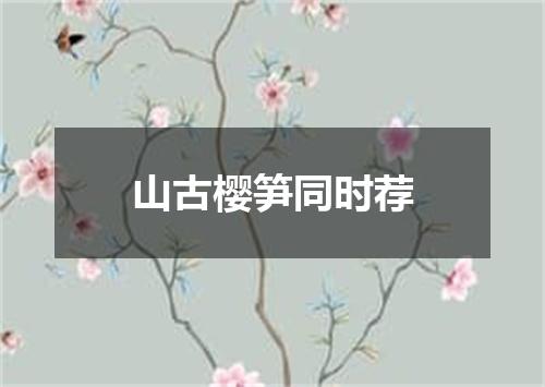 山古樱笋同时荐