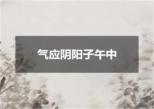 气应阴阳子午中