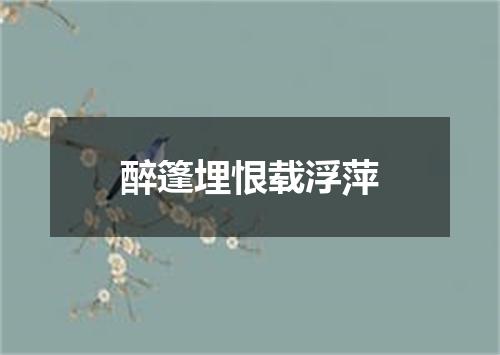 醉篷埋恨载浮萍