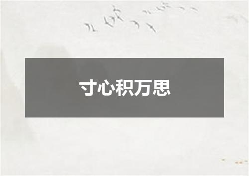 寸心积万思