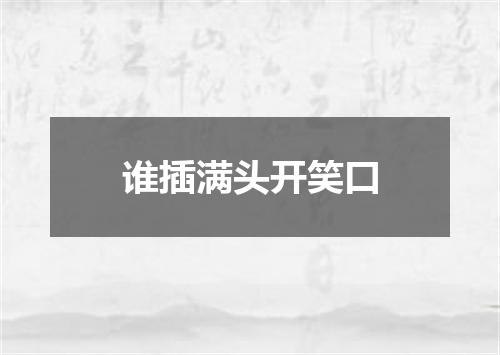 谁插满头开笑口
