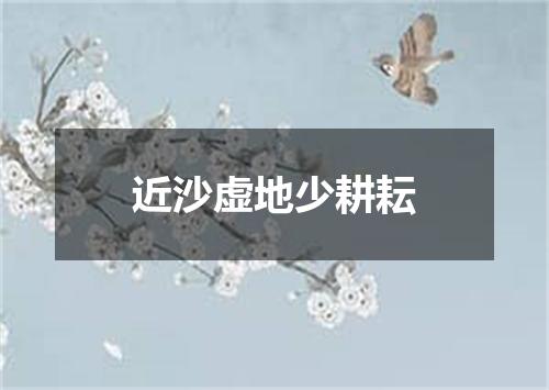 近沙虚地少耕耘