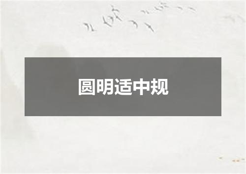 圆明适中规