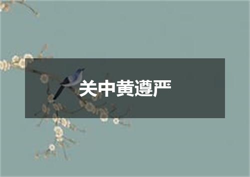 关中黄遵严