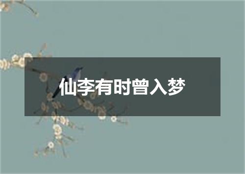 仙李有时曾入梦