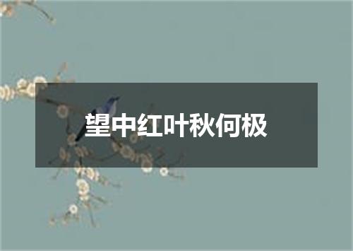 望中红叶秋何极