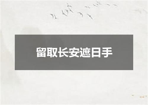 留取长安遮日手