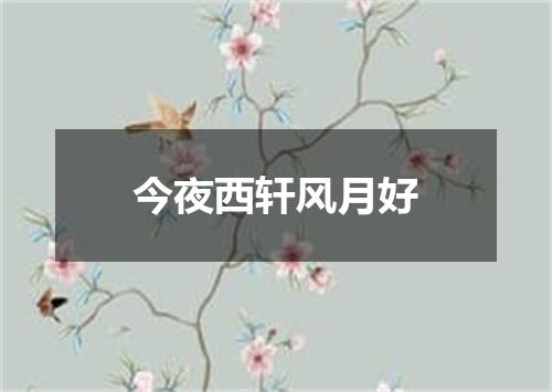今夜西轩风月好