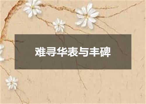难寻华表与丰碑
