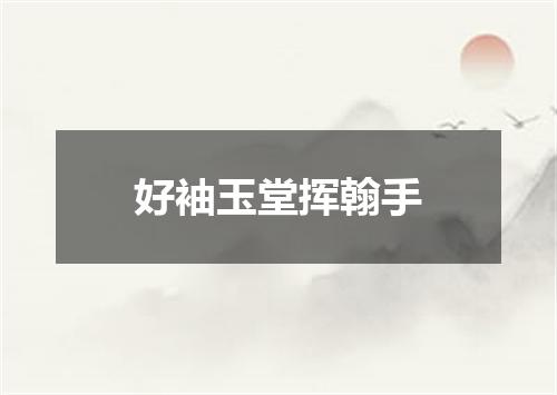 好袖玉堂挥翰手
