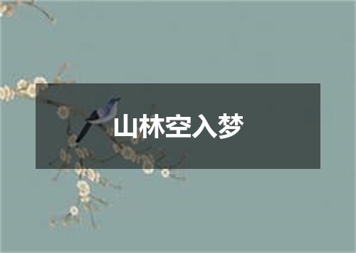 山林空入梦