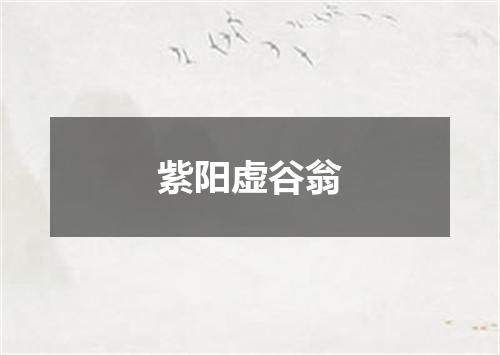紫阳虚谷翁