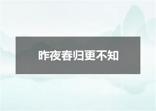 昨夜春归更不知