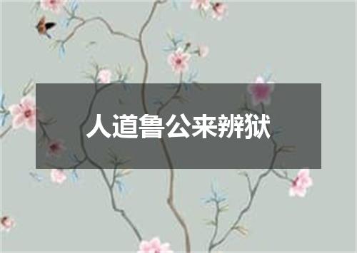 人道鲁公来辨狱